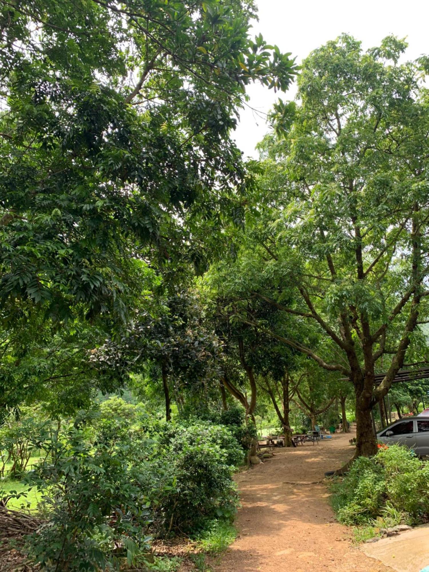 Chu Thien And Lodge Hanoi